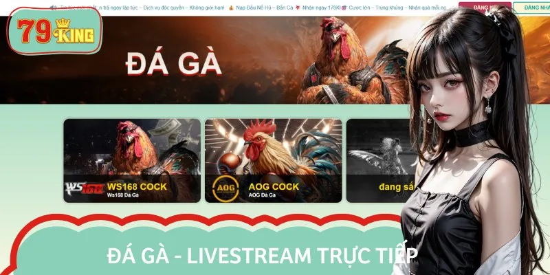 Sảnh đá gà là nơi dành cho những ai có đam mê với tốc độ